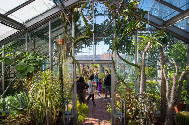 Wave hill Conservatory Family Exploration Day credit Joshua Bright